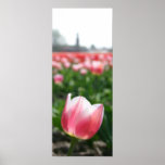 Tulip Print