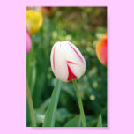 Tulip Poster posters