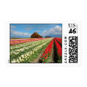 Tulip print3 stamp