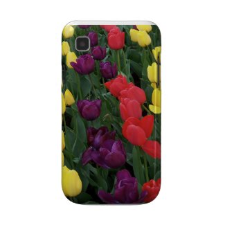 Tulip Rainbow casematecase