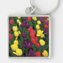 Tulip Rainbow Key Chain