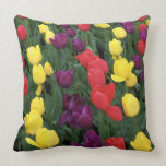 Tulip Rainbow Pillows