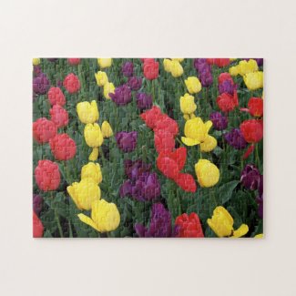 Tulip Rainbow puzzle