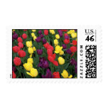 Tulip Rainbow Stamp