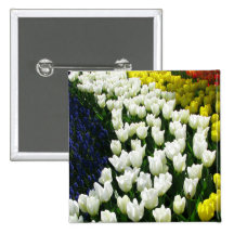 Tulip Rainbow Wave Pinback Buttons
