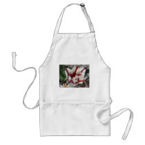 tulip,red and white fringe aprons