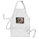 tulip,red and white fringe aprons