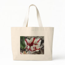 tulip,red and white fringe bags
