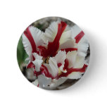 tulip,red and white fringe buttons