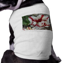 tulip,red and white fringe pet clothing