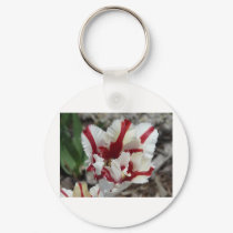 tulip,red and white fringe keychains