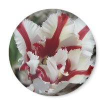 tulip,red and white fringe magnets