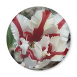 tulip,red and white fringe magnets