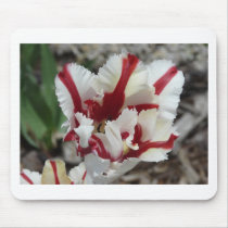 tulip,red and white fringe mouse mat