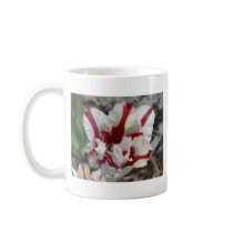 tulip,red and white fringe mug