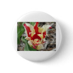 tulip,red and yellow fringe buttons