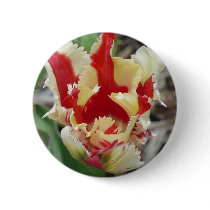 tulip,red and yellow fringe buttons
