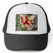 tulip,red and yellow fringe hat