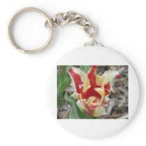 tulip,red and yellow fringe key chains