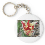 tulip,red and yellow fringe keychains