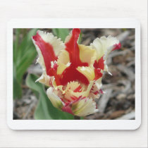 tulip,red and yellow fringe mouse pads