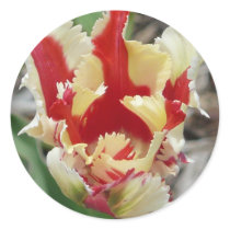 tulip,red and yellow fringe stickers