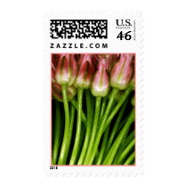 Tulip Shaped Flowers Event Postage Stamp by TDSwhite Tulip Shaped Flowers Event Postage Stamp