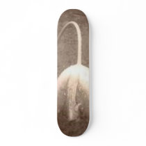 tulip skate board deck