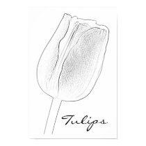 Tulip Sketch posters
