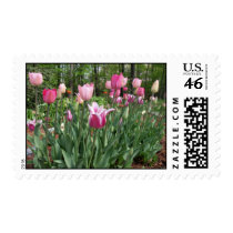 Tulip Stamp stamps