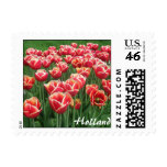 Tulip Stamp