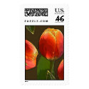 Tulip Stamp