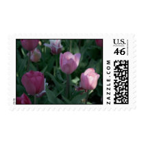 Tulip Stamps stamps