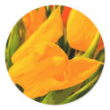 Tulip stickers
