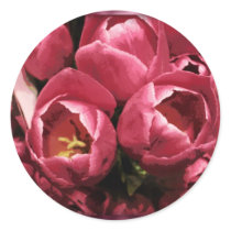 Tulip stickers
