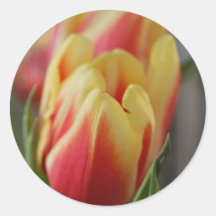 Tulip Stickers