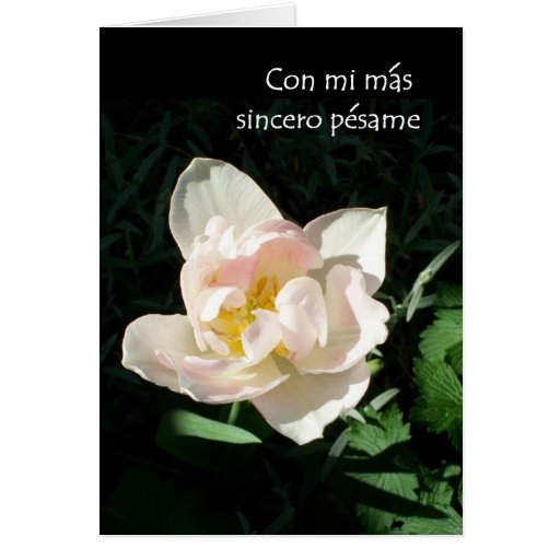 Tulip Sympathy Card Spanish Greeting Zazzle Tulip Sympathy Card Spanish Greeting Zazzle