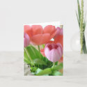 Tulip Thank You Greeting Cards