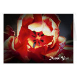 Tulip Thank You Card cards