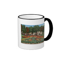 Tulip Time Holland, Michigan Mug