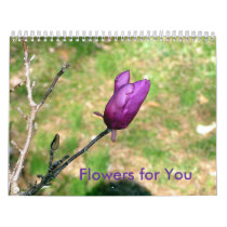 TULIP TREE, Flowers for You Calendar