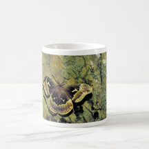 Tulip-tree silk moth mug