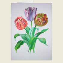 Tulip Trio cards by taiche Tulip Trio cards