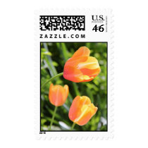 Tulip Trio Postage