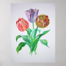 Tulip Trio Poster