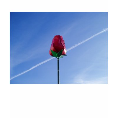 Tulip Tshirt by mariaroff
