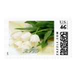 Tulip white flower postage stamp