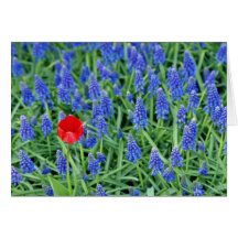 Tulip with hyacinth Yellow flowers Card