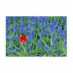 Tulip with hyacinth Yellow flowers t-shirts