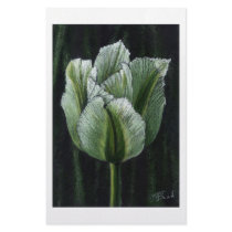 tulipa spring green customized stationery